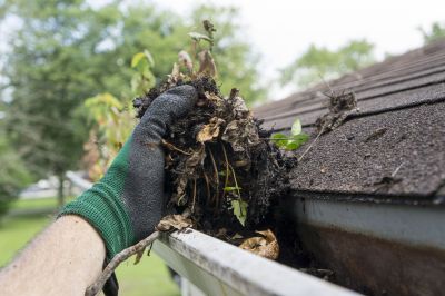Debris Removal from Gutters