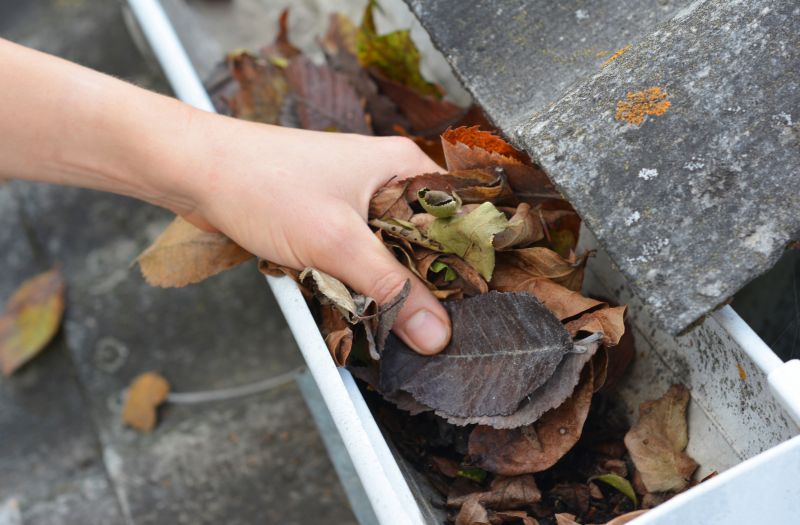 Gutter Cleaning and Maintenance
